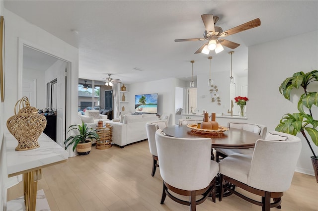 dining room featuring ceiling fan and light wood-style floors