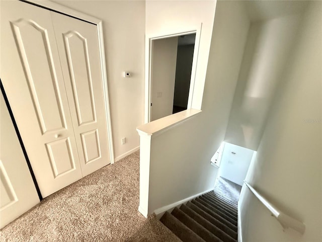staircase featuring carpet and baseboards