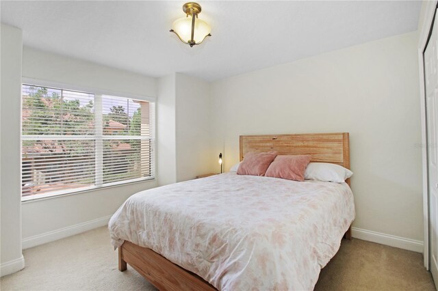 6941 Piazza St, Orlando, FL 32819 - bedroom with light colored carpet and baseboards