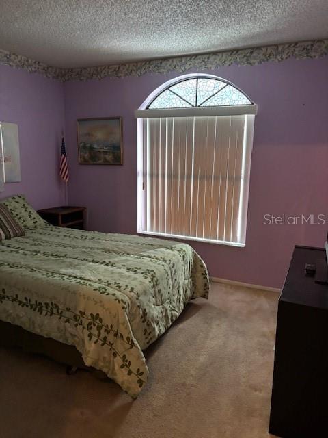 25306 Northlake Dr Unit 25306, Sanford, FL 32773 - bedroom featuring a textured ceiling and carpet flooring
