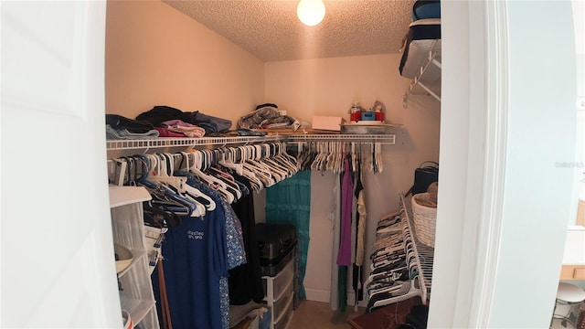 2343 Walnut Heights Rd, Apopka, FL 32703 - view of spacious closet