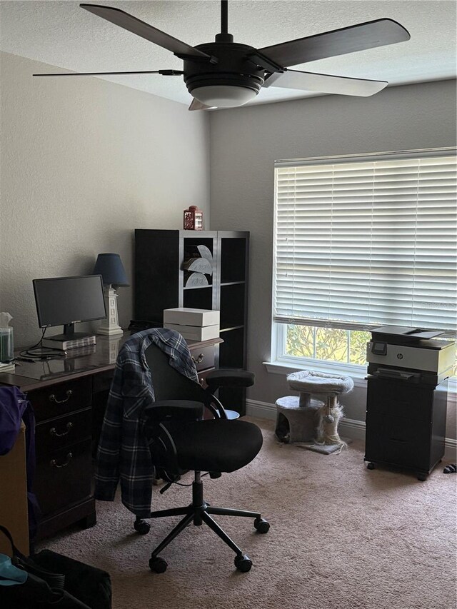 6800 SE 12th Pl, Ocala, FL 34472 - office space featuring a ceiling fan, carpet, and baseboards