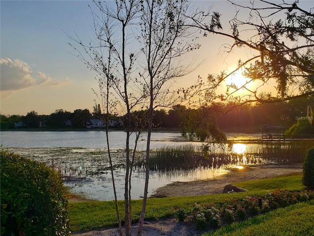 983 Bucksaw Pl, Longwood, FL 32750 - water view