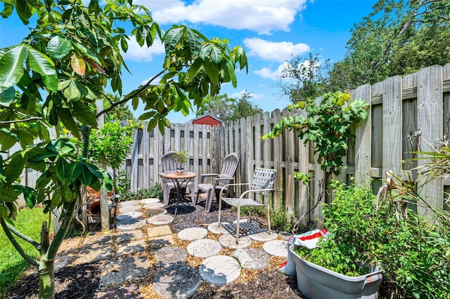 8248 Limetree Ct, Orlando, FL 32836 - view of fenced backyard