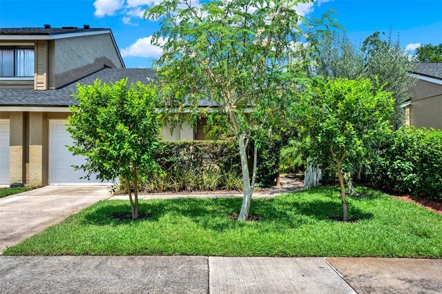 8248 Limetree Ct, Orlando, FL 32836 - view of front of property with a shingled roof, stucco siding, driveway, and a front lawn
