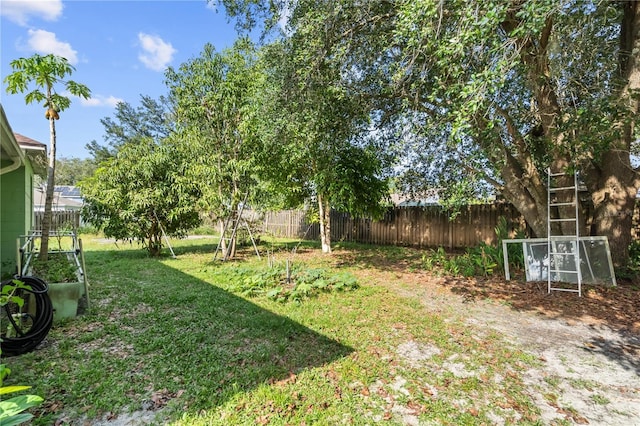 14 Sequoia Way, Kissimmee, FL 34758 - view of yard