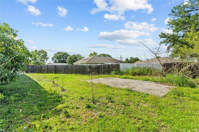 14 Sequoia Way, Kissimmee, FL 34758 - view of yard