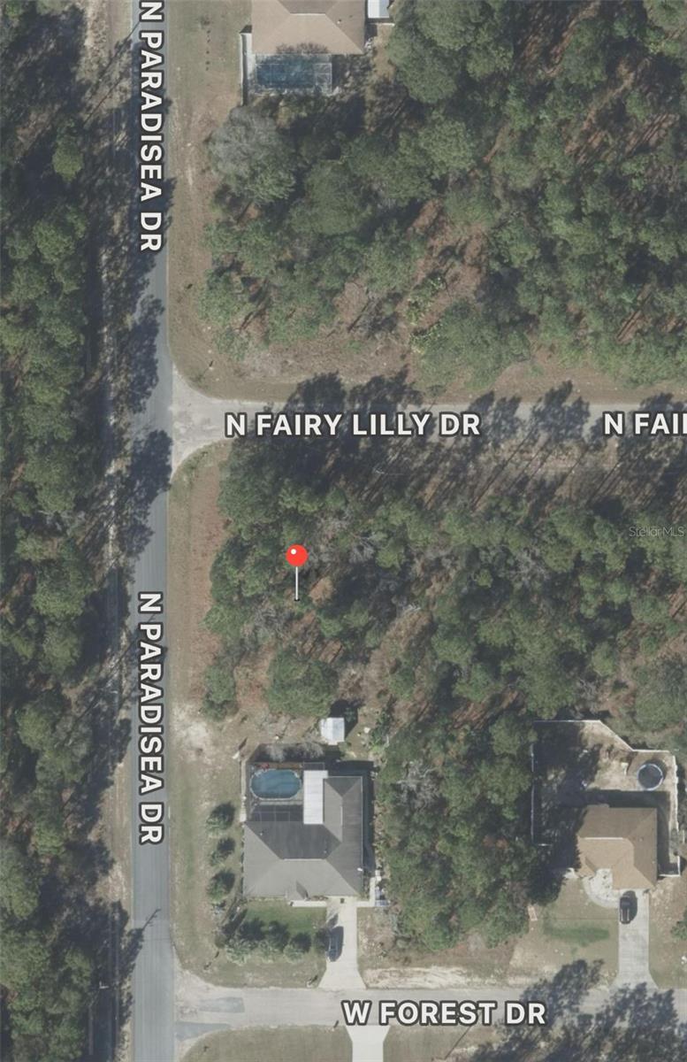9309 N Fairy Lilly Dr, Citrus Springs, FL 34433 - photo 2