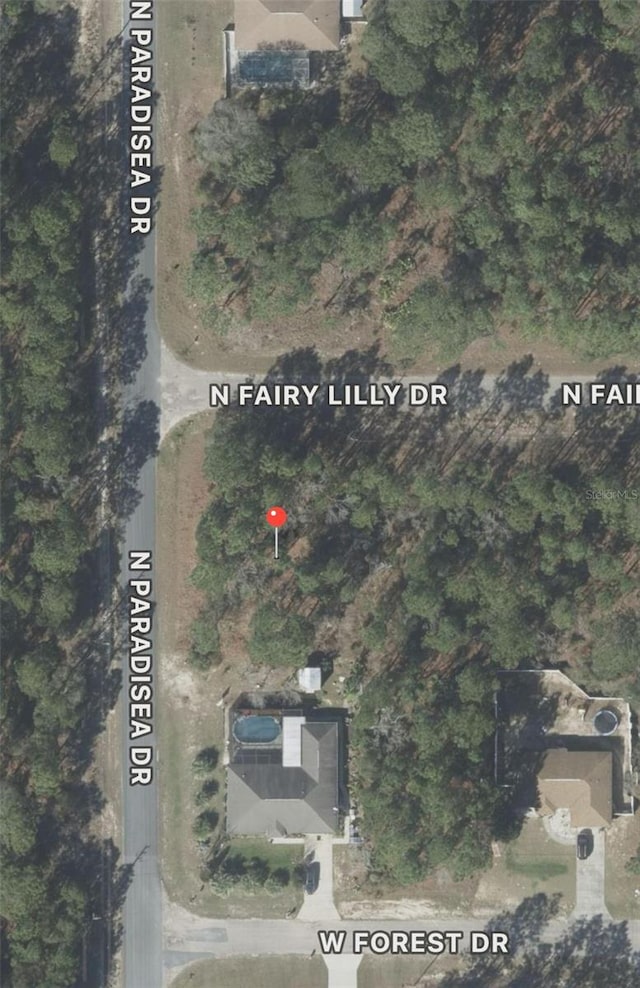 9309 N Fairy Lilly Dr, Citrus Springs, FL 34433 - photo 2