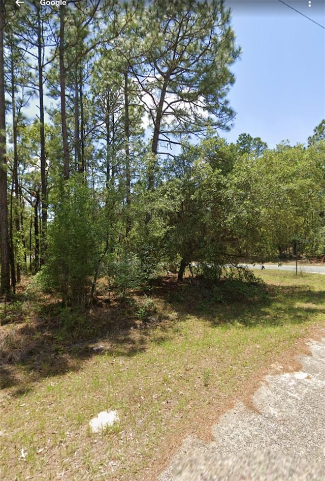9309 N Fairy Lilly Dr, Citrus Springs, FL 34433 - photo 3