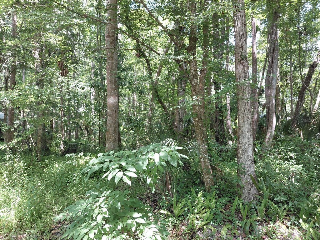 River Rd, Astor, FL 32102