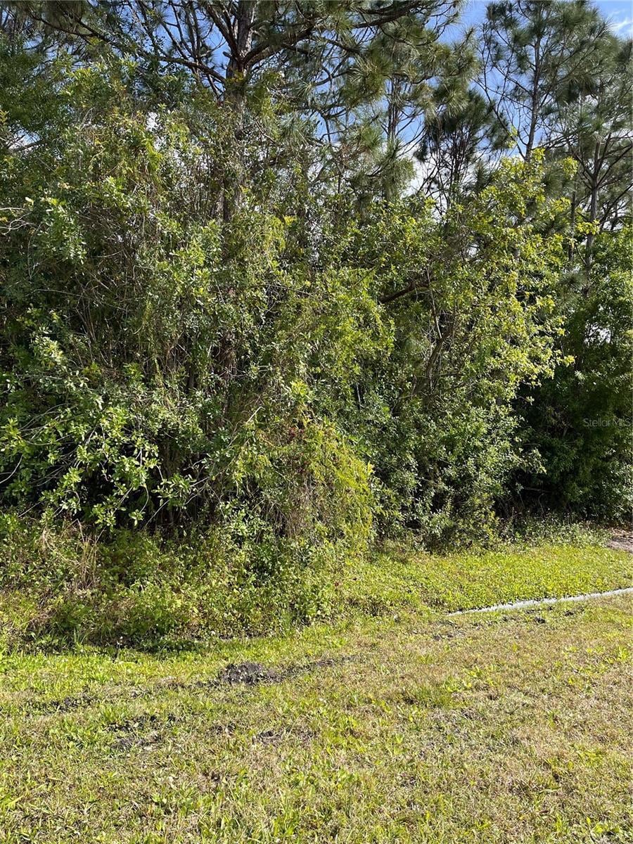 3357 Monteverde Ave SW, Palm Bay, FL 32908 - photo 1