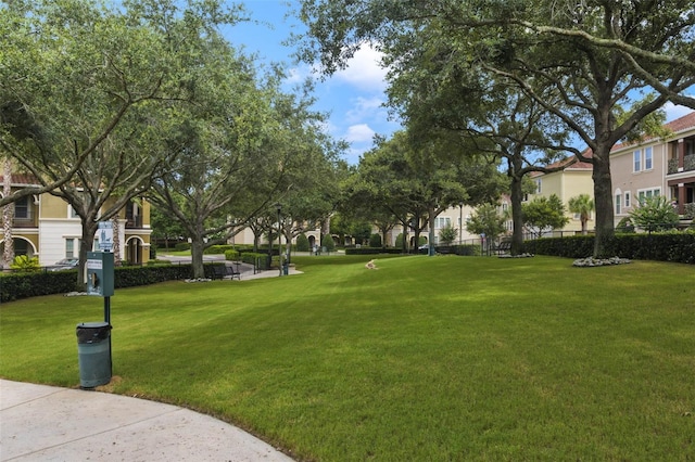 524 Lobelia Dr, Lake Mary, FL 32746 - photo 43