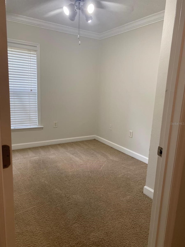 2007 Dixie Belle Dr Unit 2007M, Orlando, FL 32812 - unfurnished room with ornamental molding, a ceiling fan, baseboards, and carpet floors