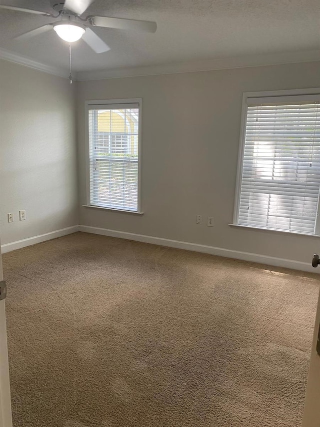 2007 Dixie Belle Dr Unit 2007M, Orlando, FL 32812 - carpeted spare room featuring crown molding, ceiling fan, and baseboards