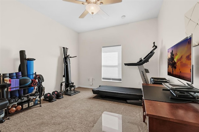 2801 Boat Cove Cir, Kissimmee, FL 34746 - exercise room featuring a ceiling fan, carpet floors, and baseboards