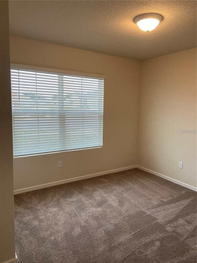empty room with carpet floors, a textured ceiling, healthy amount of natural light, and baseboards
