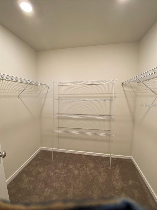walk in closet with carpet floors