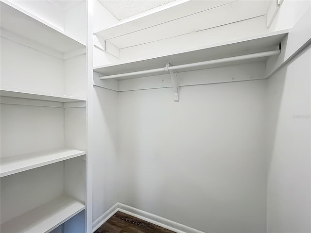 43 Lake Court Loop, Ocala, FL 34472 - walk in closet with dark wood-style floors