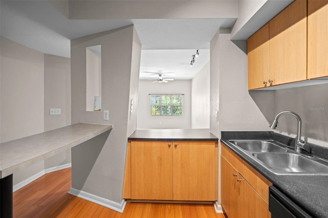 2411 W Horatio St Unit 537, Tampa, FL 33609 - kitchen with a sink, light wood-type flooring, black dishwasher, a ceiling fan, and baseboards
