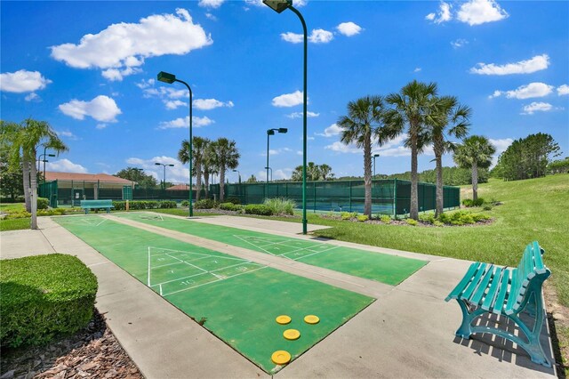 3677 Serena Ln, Clermont, FL 34711 - surrounding community with shuffleboard