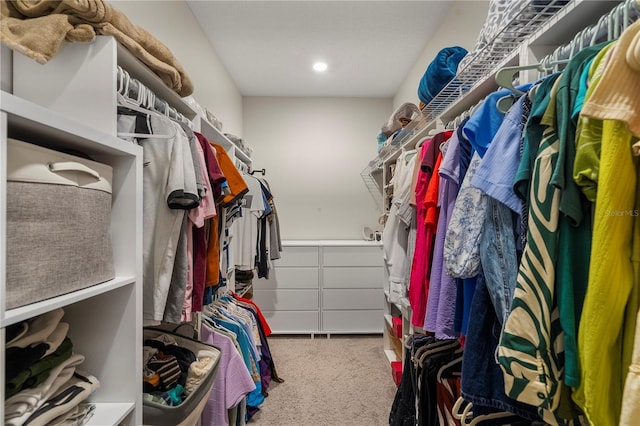 146 E 15th St, Apopka, FL 32703 - spacious closet featuring carpet floors