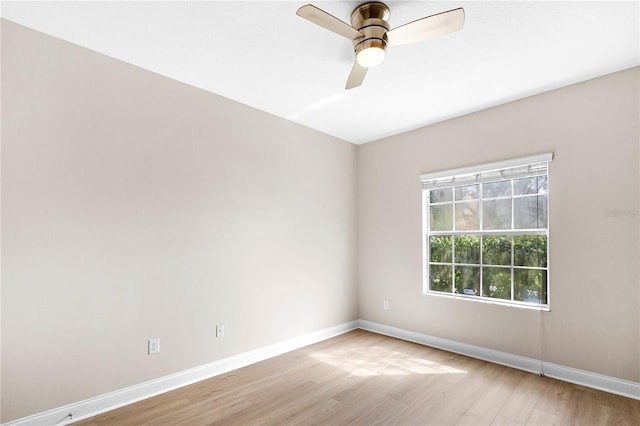 2125 Shackley Pl, Apopka, FL 32703 - spare room featuring light wood finished floors and a ceiling fan