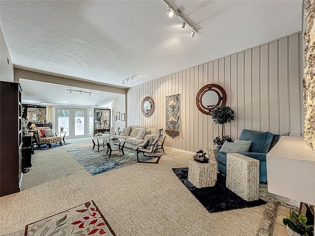 103 Red Cedar Dr, Longwood, FL 32779 - living area with track lighting, carpet flooring, and a textured ceiling