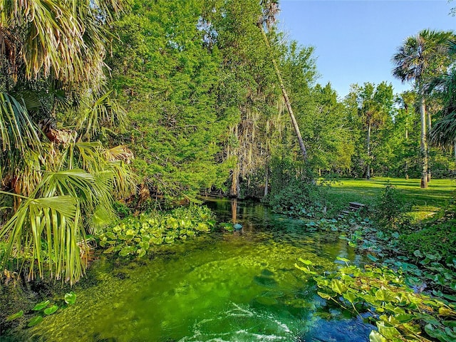 103 Red Cedar Dr, Longwood, FL 32779 - view of nature