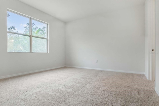 3975 Kennebunk Loop, Mount Dora, FL 32757 - unfurnished room featuring light carpet and baseboards