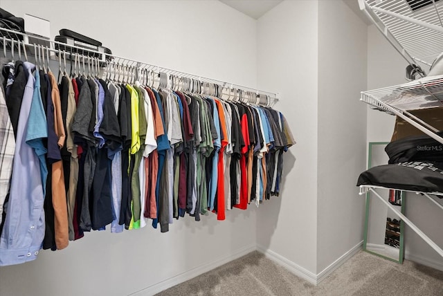 850 Lazio Cir, Debary, FL 32713 - spacious closet with carpet flooring