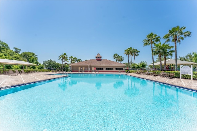 1902 Hailsham Ct, Orlando, FL 32824 - view of community pool
