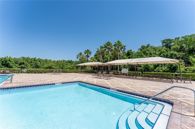 1902 Hailsham Ct, Orlando, FL 32824 - community pool with a patio area and view of scattered trees