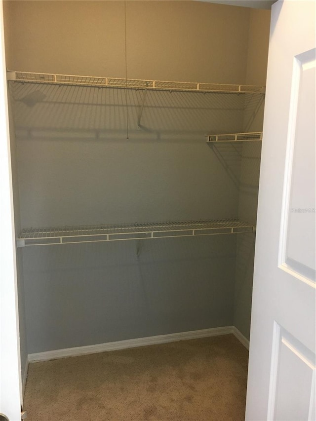 spacious closet with carpet floors