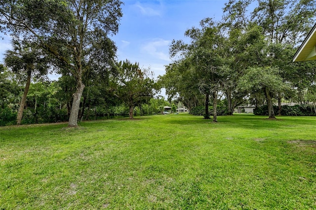 2326 Florida Ave, Oviedo, FL 32765 - photo 50