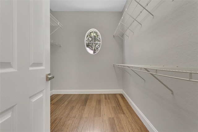 7900 Saint Giles Pl, Orlando, FL 32835 - spacious closet featuring wood finished floors