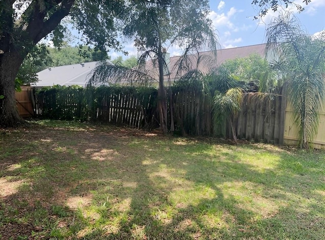 1606 Red Clover Ct, Orlando, FL 32825 - view of yard