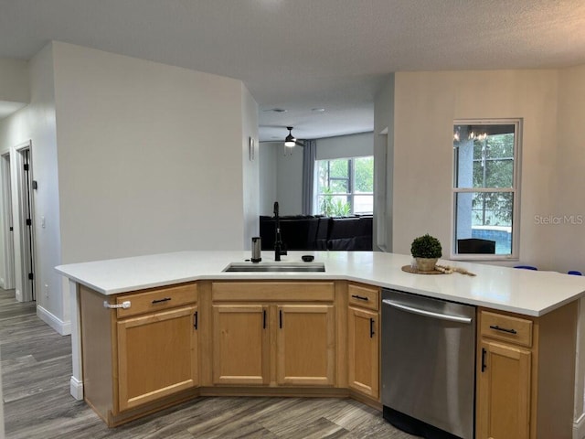14936 Masthead Landing Cir, Winter Garden, FL 34787 - kitchen with dishwasher, a sink, light wood finished floors, and light countertops