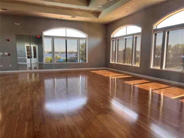 14936 Masthead Landing Cir, Winter Garden, FL 34787 - spare room with wood finished floors, baseboards, plenty of natural light, recessed lighting, and a raised ceiling