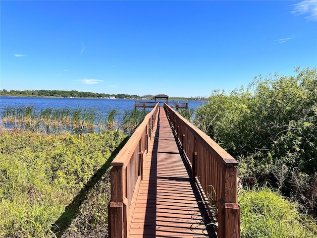 14936 Masthead Landing Cir, Winter Garden, FL 34787 - view of home's community with a water view