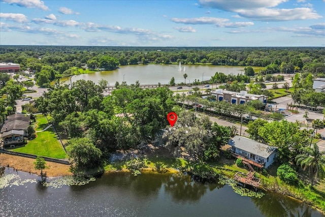 11 Plumosa Ave, Casselberry, FL 32707 - photo 33