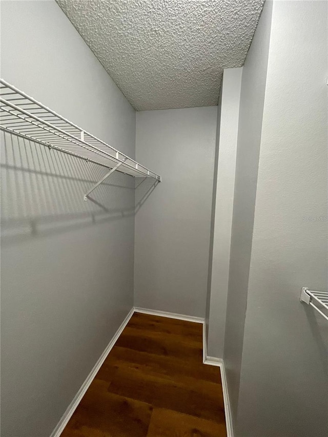238 Afton Sq Unit 204, Altamonte Springs, FL 32714 - walk in closet featuring wood finished floors