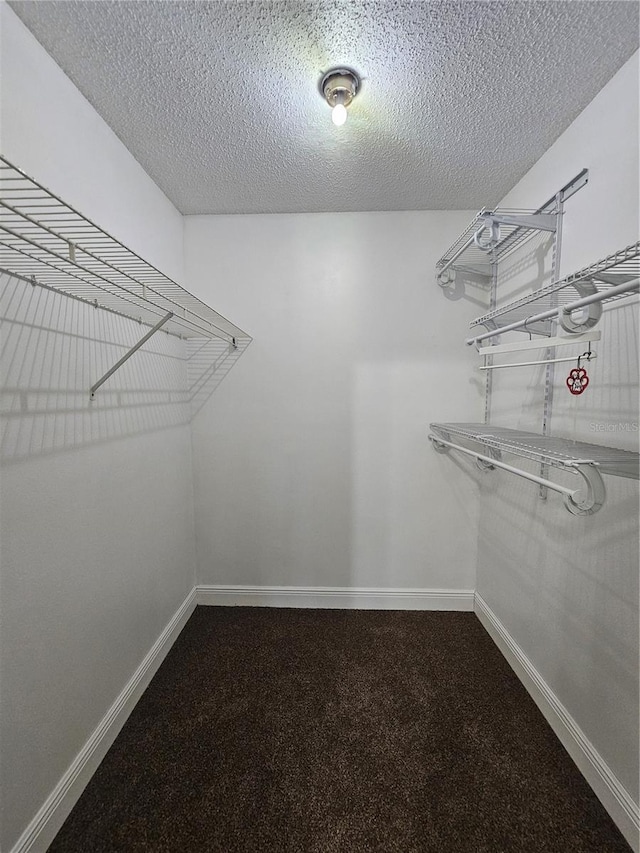 1025 Clovercrest Rd, Orlando, FL 32811 - photo 16