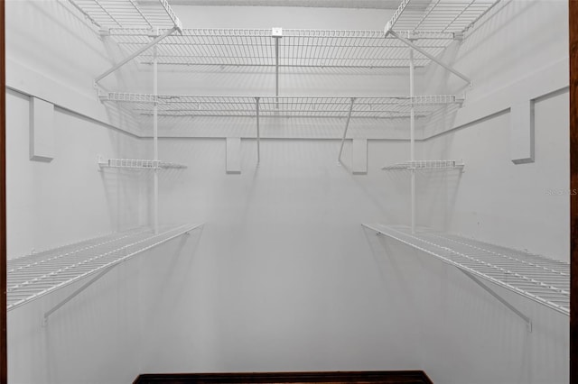 1830 W Clinton Dr, Saint Cloud, FL 34769 - view of spacious closet