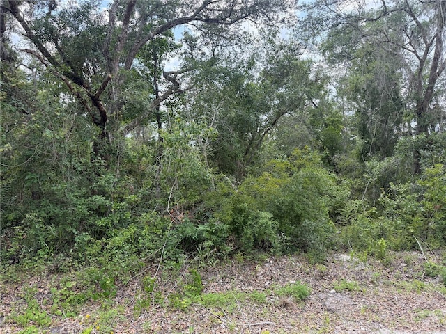 7419 SE Ave, Webster, FL 33597