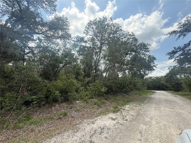 7419 SE Ave, Webster, FL 33597
