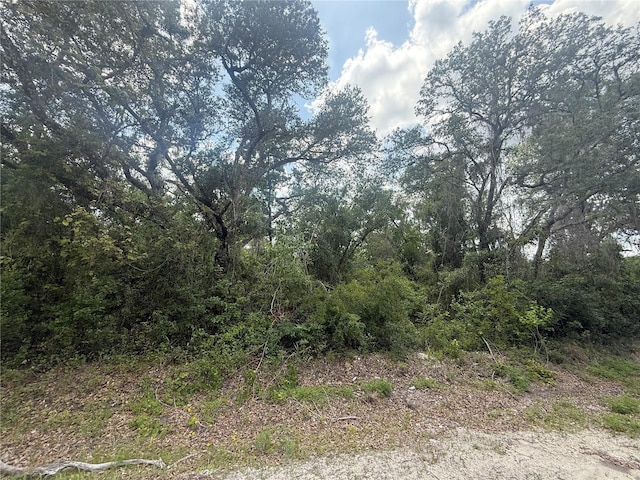 7419 SE Ave, Webster, FL 33597