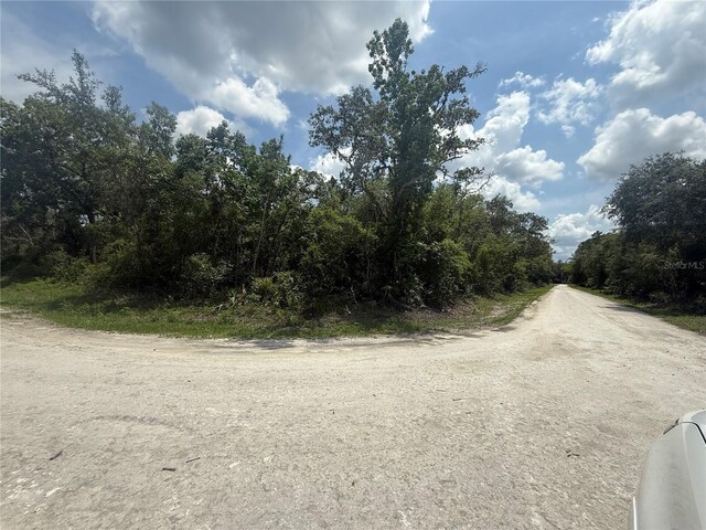 7419 SE Ave, Webster, FL 33597