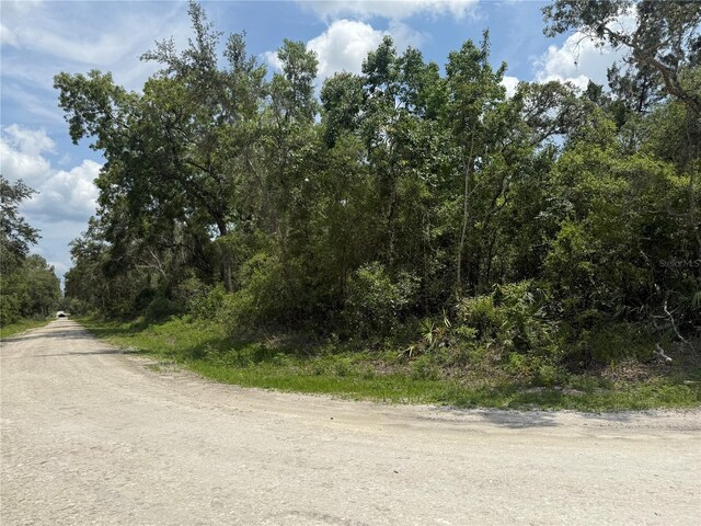 7419 SE Ave, Webster, FL 33597