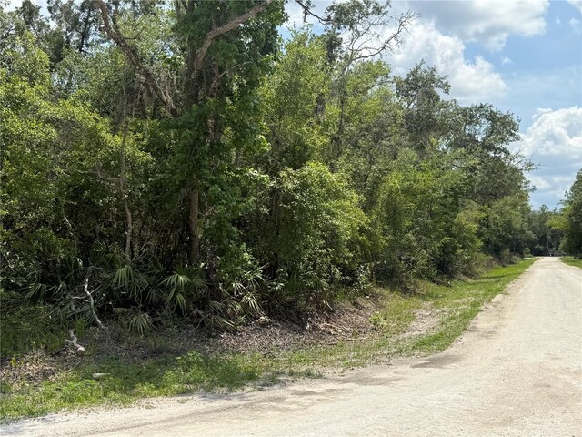7419 SE Ave, Webster, FL 33597